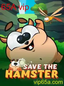 SavetheHamster: Descubra o Novo Fenômeno dos Jogos de Lógica