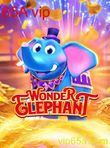 Descubra o Mundo Fascinante de WonderElephant